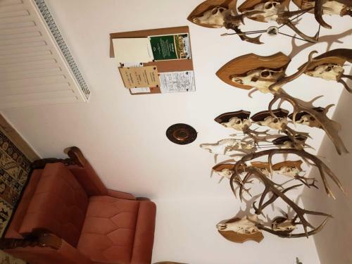 Bed & Breakfast Kincsesb�nya