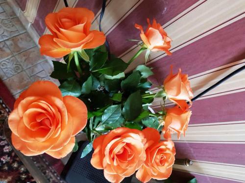 Bed & Breakfast Kincsesb�nya