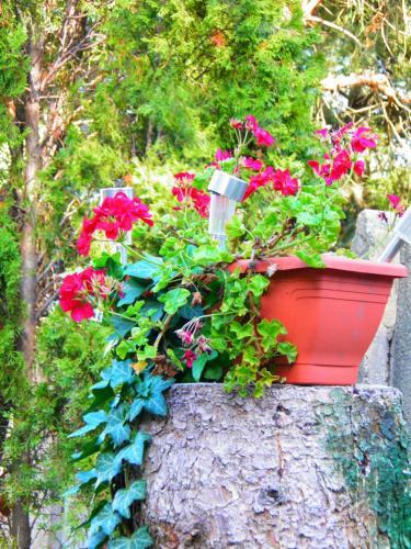 �den Apartman Hotel