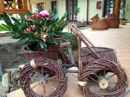 Hostal �regt�lgy Panzio