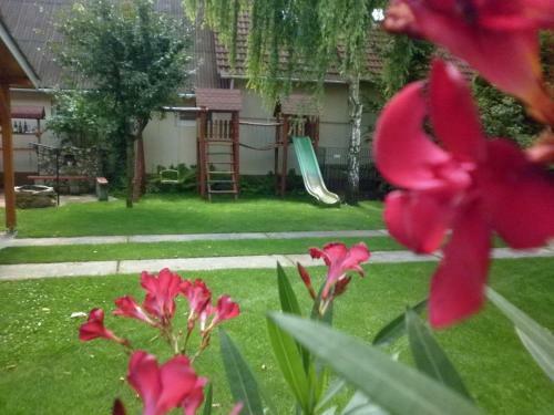 Apartamento Napsug�r Vend�gh�z