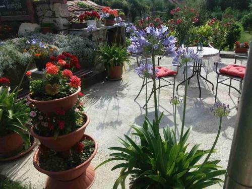 Hostal S�tor-hegy Vend�gh�z