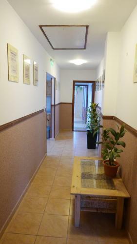 Hostal Paulay Borh�z �s Vend�gh�z