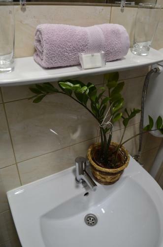 Bed & Breakfast M36 Panzi� �s Apartman