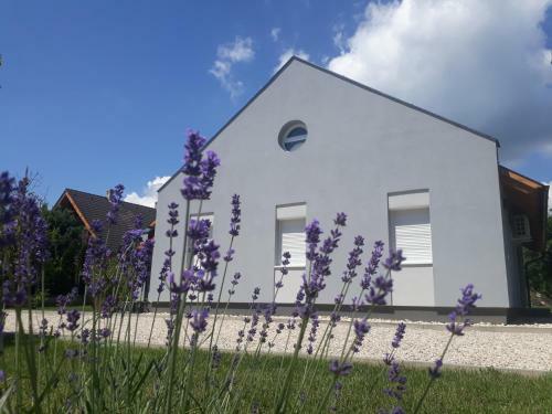 Apartamento Mint Otthon Vend�gh�z