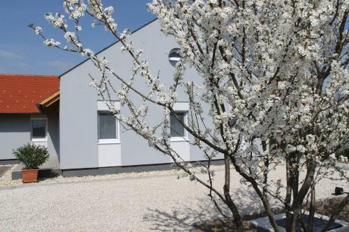 Apartamento Mint Otthon Vend�gh�z