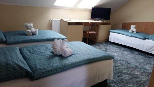 Bed & Breakfast C�vis Sz�ll�shely