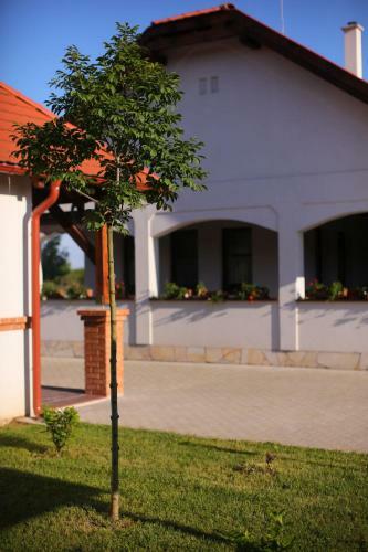 Hostal Csaronda Vendegh�z