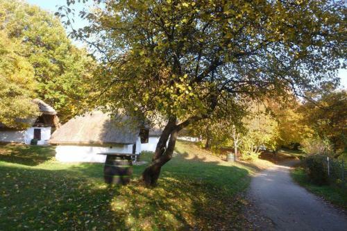 Apartamento Vadsz?l? Vend�gh�z