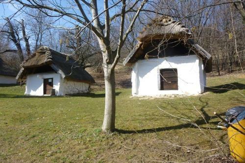 Apartamento Vadsz?l? Vend�gh�z