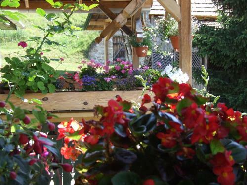 Hostal Erd�sz Vend�gh�z