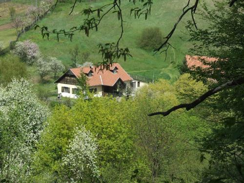 Hostal Erd�sz Vend�gh�z