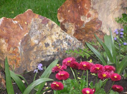 Bed & Breakfast Nov�k Panzi�