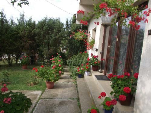 Hostal Bor�ka Vend�gh�z