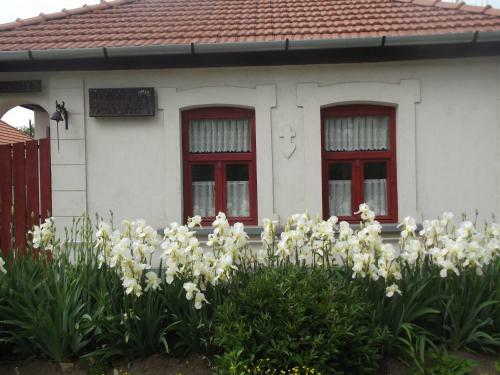 Hostal Holl�k?i Vend�gh�z