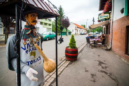 Bed & Breakfast Vask� Panzi� Borpince