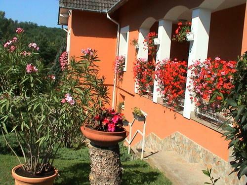 Bed & Breakfast Cseppk? Panzi�