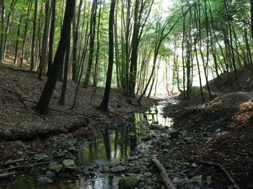 Bed & Breakfast Cseppk? Panzi�