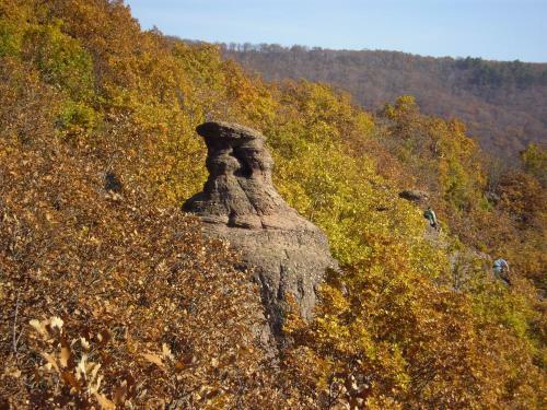 Bed & Breakfast Cseppk? Panzi�
