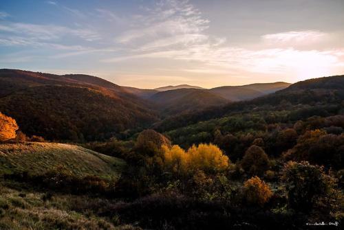 Bed & Breakfast Cseppk? Panzi�