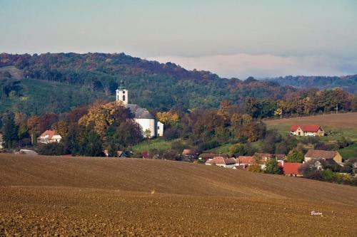 Bed & Breakfast Cseppk? Panzi�