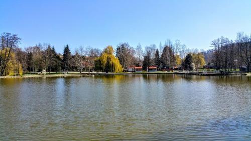 Bed & Breakfast Cseppk? Panzi�
