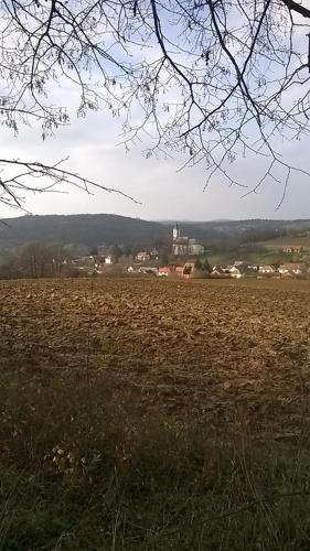 Bed & Breakfast Cseppk? Panzi�