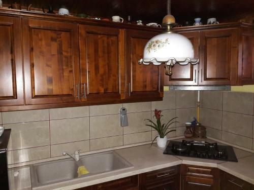 Apartamento Tiszavir�g Vend�gh�z