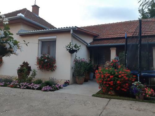 Apartamento Tiszavir�g Vend�gh�z