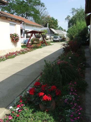 Apartamento Tiszavir�g Vend�gh�z