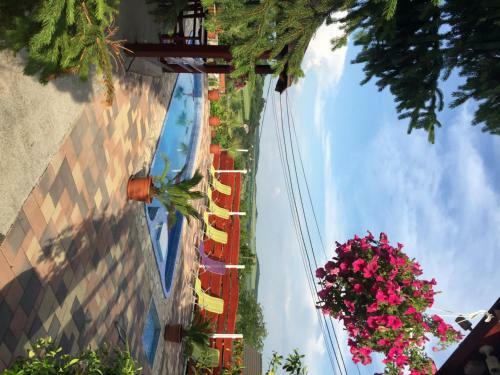 Hostal S�rv�ri Vend�gh�z