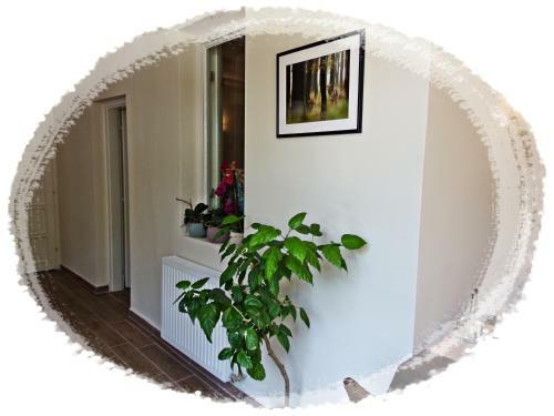 Hostal Bar�tok Panzi�