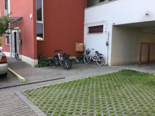 Apartman 511