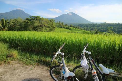 Sang Giri - Mountain Glamping Camp