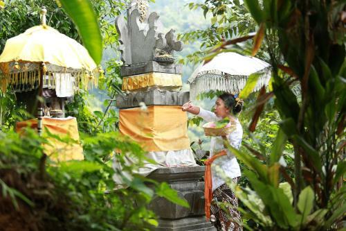Sang Giri - Mountain Glamping Camp