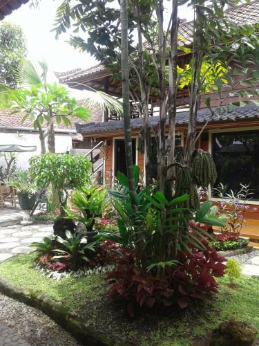 Hostal The Arya Guest House