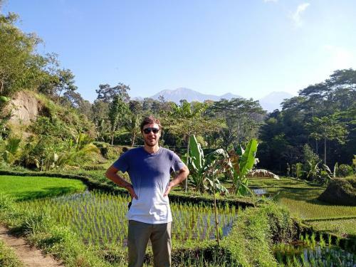 Tereng Wilis Jungle Inn