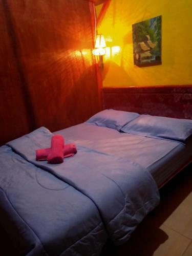 Tereng Wilis Jungle Inn