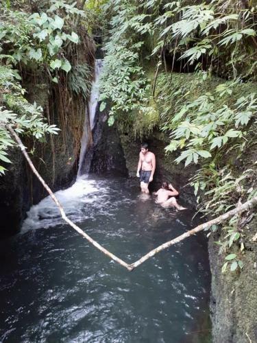 Tereng Wilis Jungle Inn