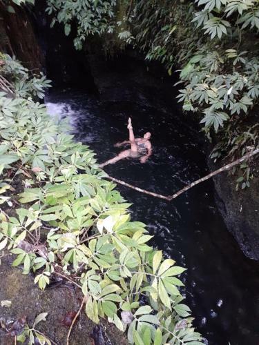 Tereng Wilis Jungle Inn