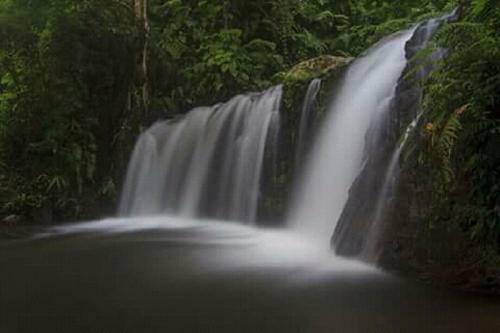 Tereng Wilis Jungle Inn