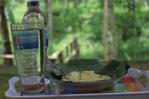 Tereng Wilis Jungle Inn