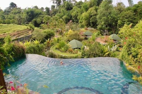 Hotel de Moksha Eco Friendly Boutique Resort