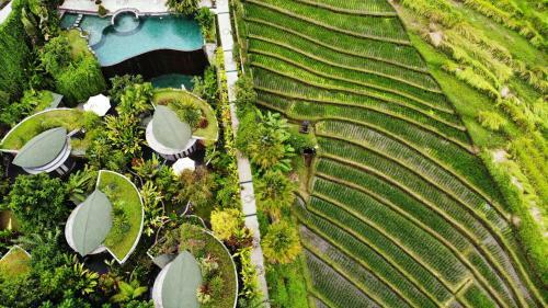 Hotel de Moksha Eco Friendly Boutique Resort