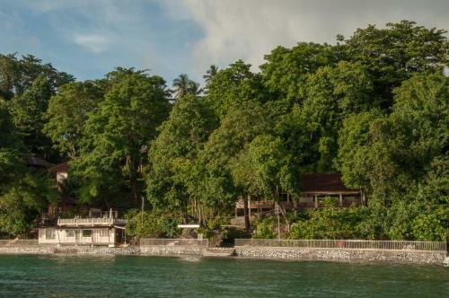 Hotel Froggies Divers Bunaken