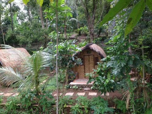 Dream Catcher Camp