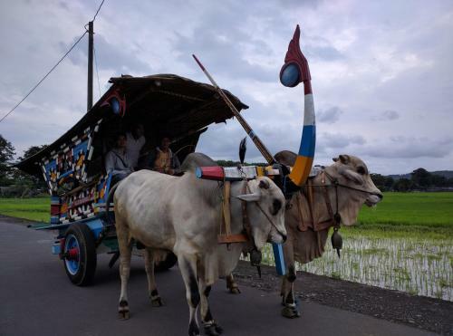 Joglo Ayem Tentrem