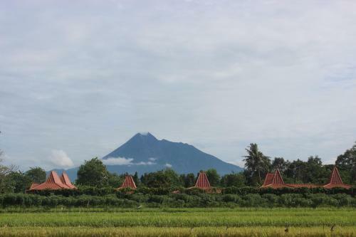 Joglo Ayem Tentrem
