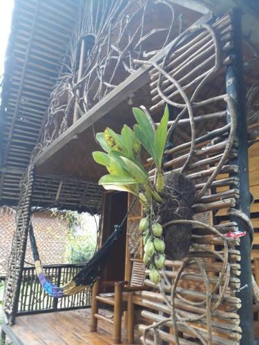 Hostal Abdi Homestay