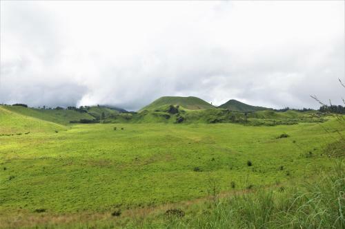 Bed & Breakfast Ijen Java Homestay